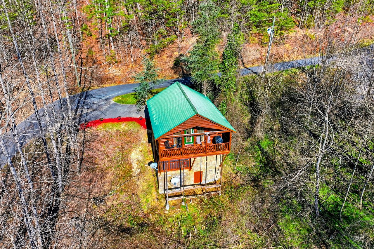 Charming woodland cabin nestled among autumn trees, featuring a green metal roof and rustic wood design with natural forest surroundings.