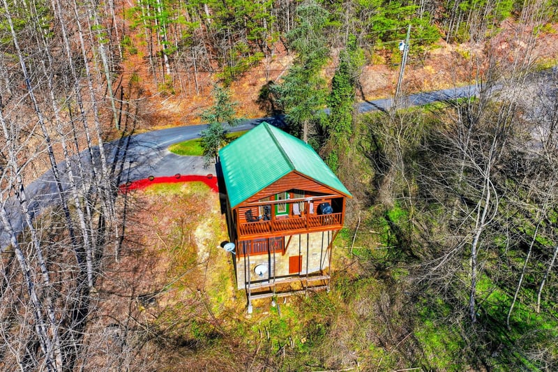 Charming woodland cabin nestled among autumn trees, featuring a green metal roof and rustic wood design with natural forest surroundings.