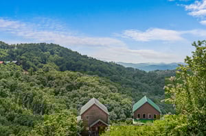 View from Peaceful Feeling cabin