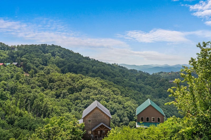 View from Peaceful Feeling cabin