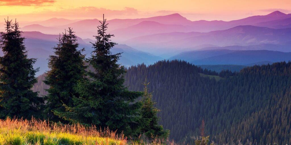 0 Smoky Mountain Spring