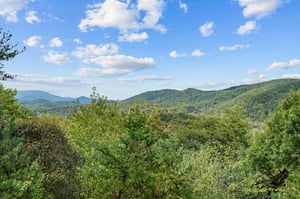 View from Mountain Laurel Lodge cabin