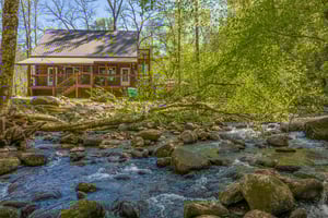 Front of Tridents Creek cabin with view of the creek