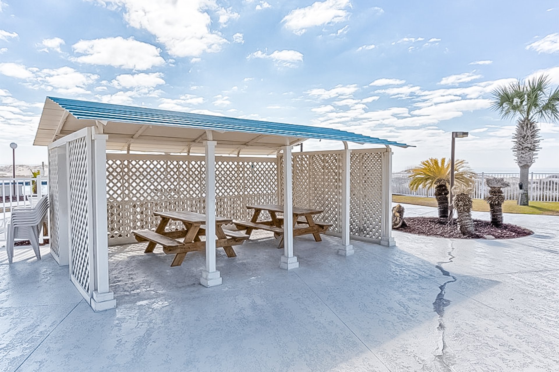 Plantation Palms 6302 42