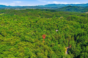 Nestled in the lush Smoky Mountains, this property sits amid dense forest and rolling peaks, offering a secluded mountain escape surrounded by natural beauty.
