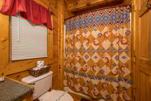 Combo tubshower beside toilet