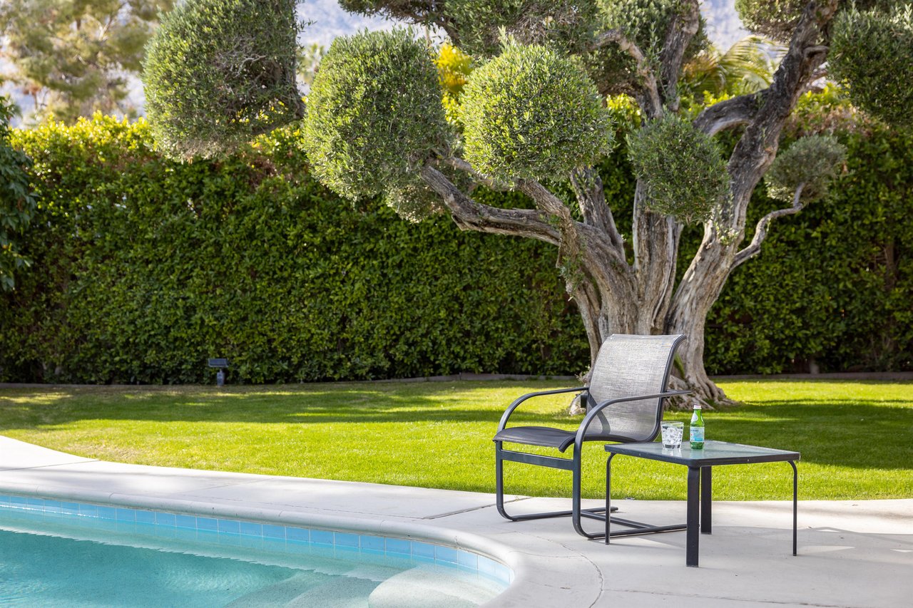 Bask in the sunshine