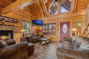 living room w TV  natural lighting