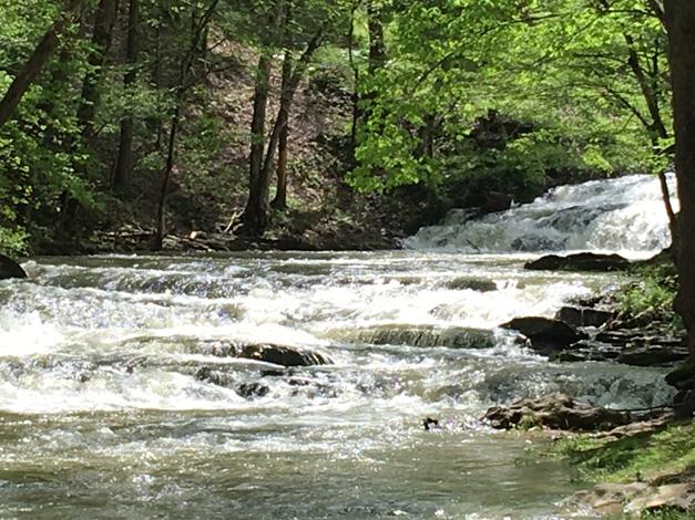 waterfallsedge42