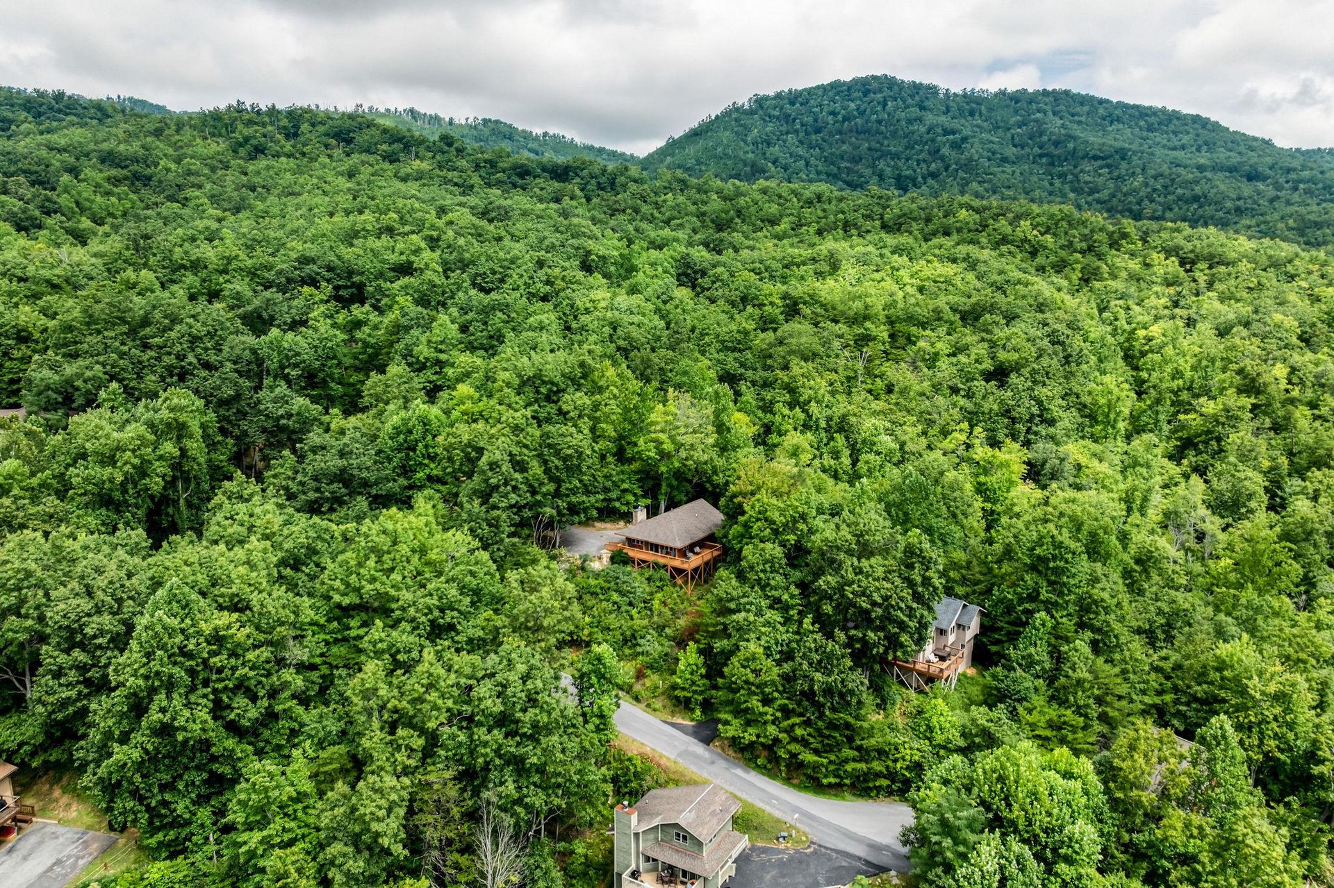 dancinginthemoonlight34