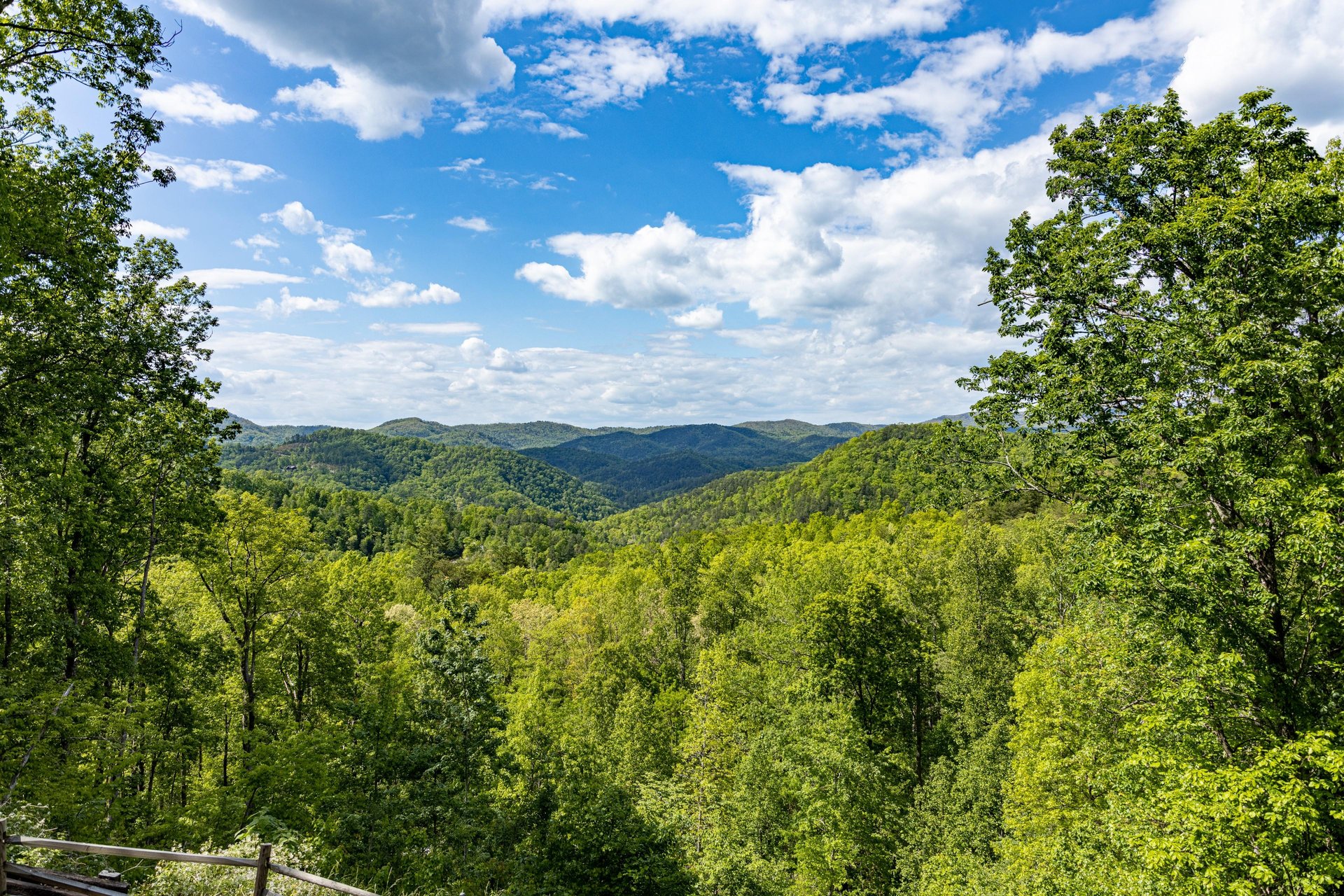 View from Heavenly Homestead cabin