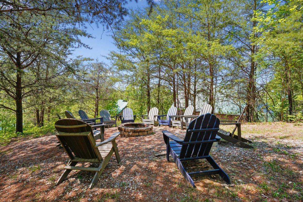 137Backyard
