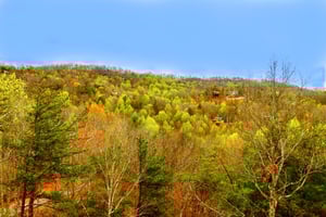 Aerial Property View