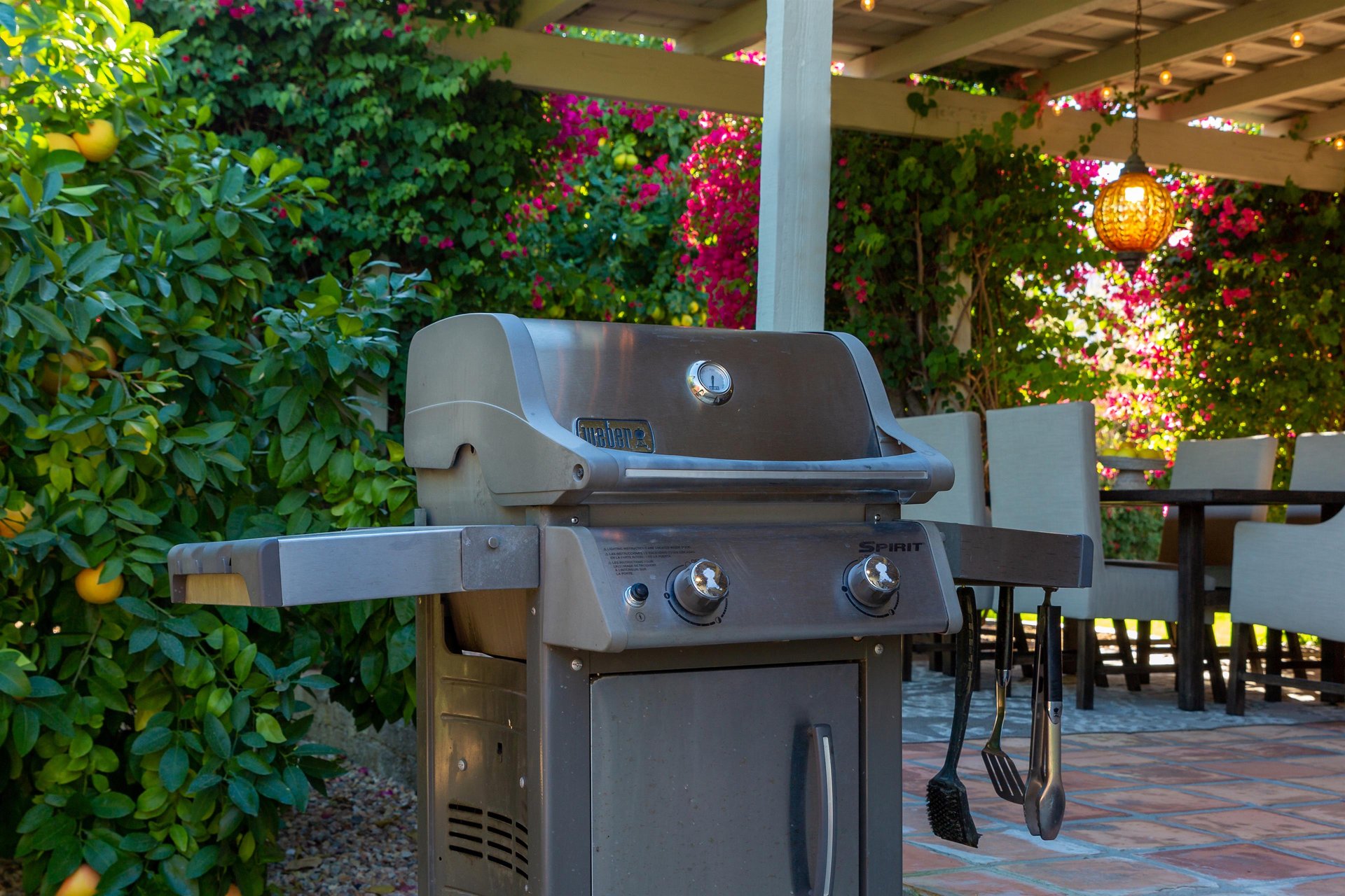 BBQ for a summer cookout