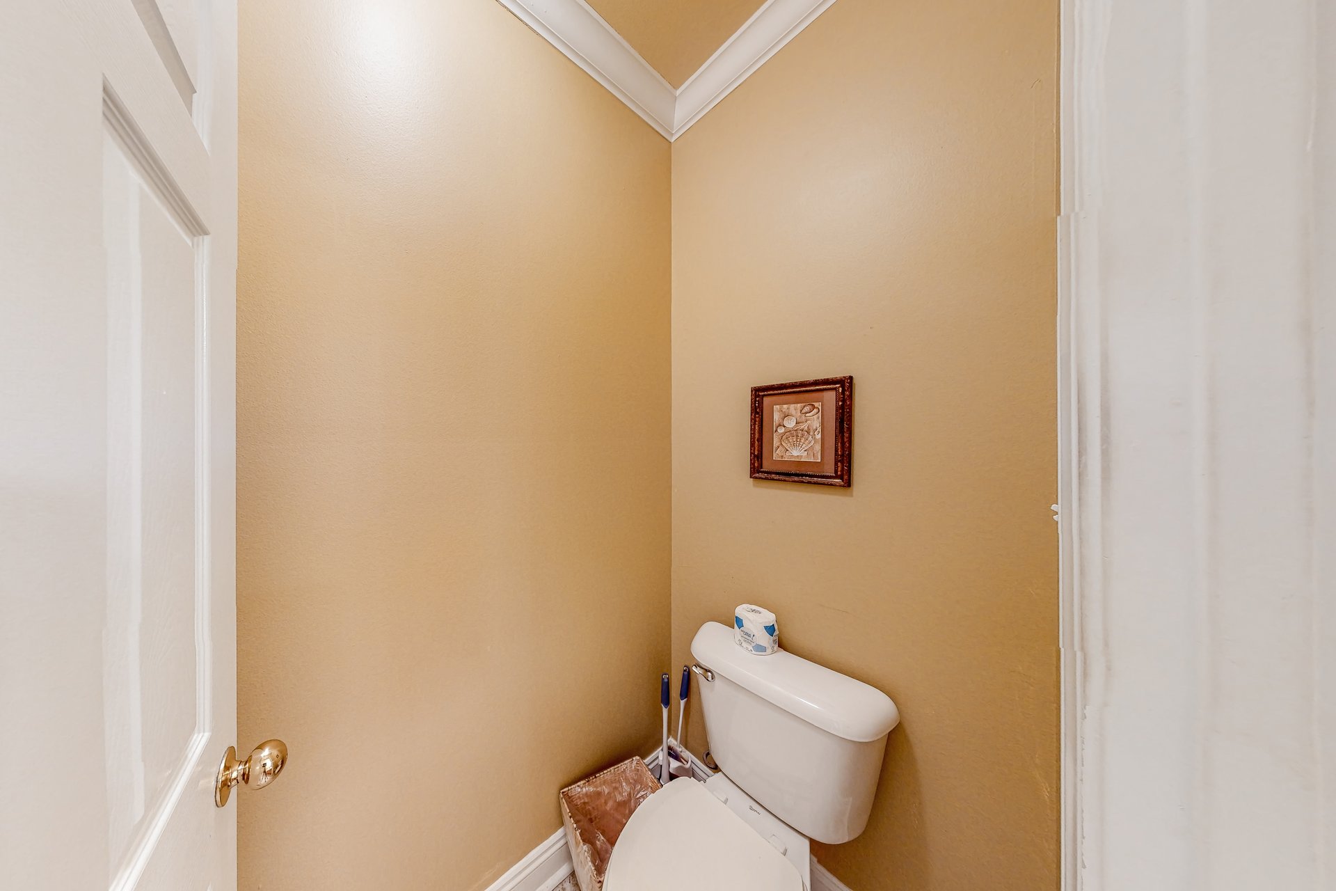 Mandevilla at Martinique 24