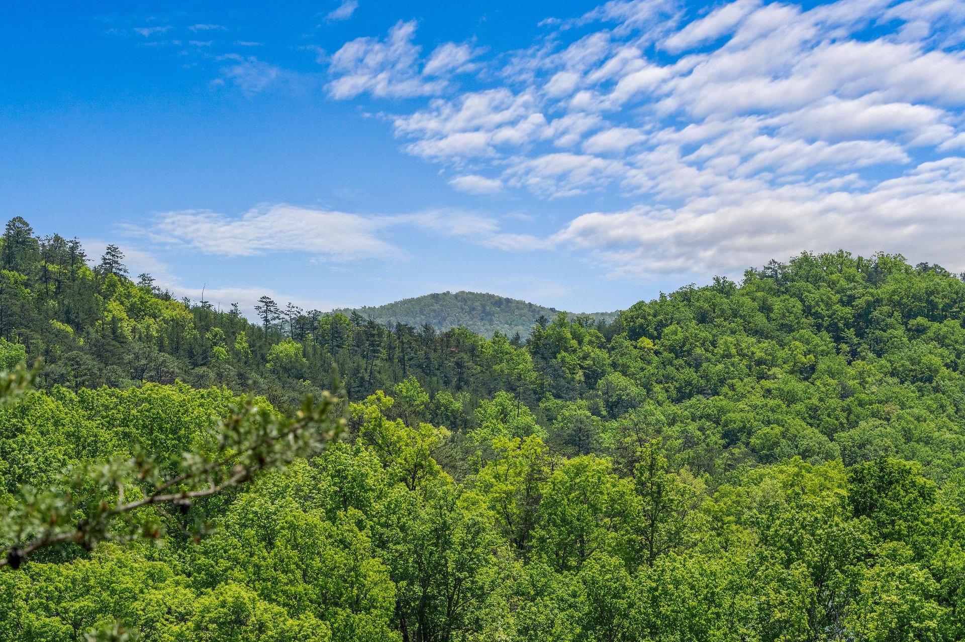 moonbeamandcabindreams9