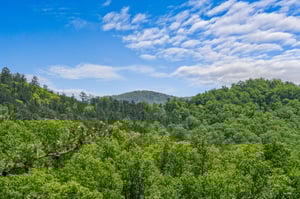 moonbeamandcabindreams9