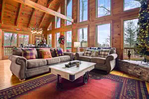 Living room with sleeper sofa