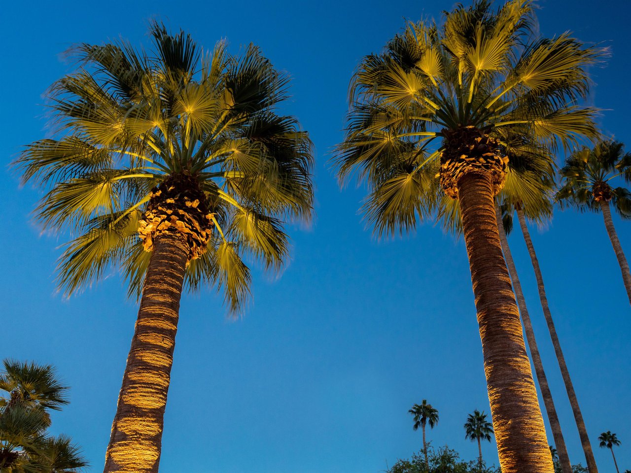 Palm Springs evening skies