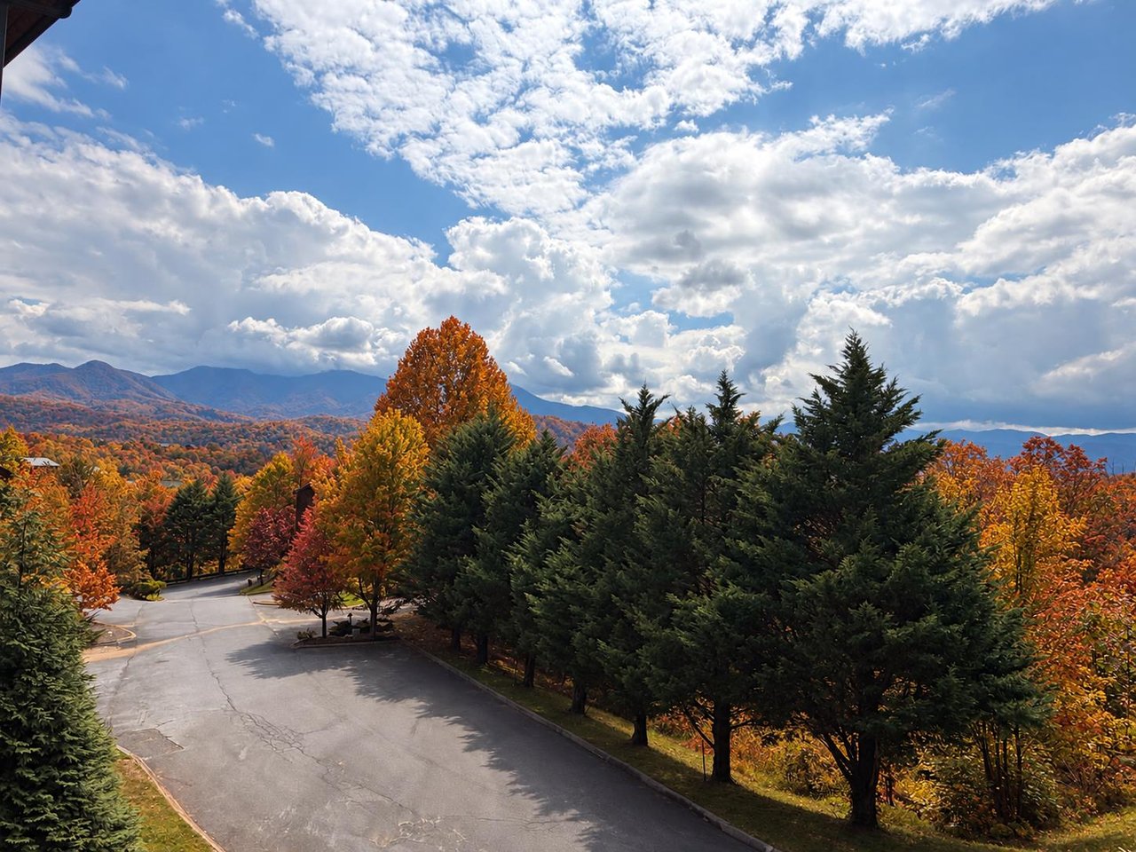 View in Fall