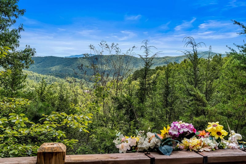 views at Alpine Romance