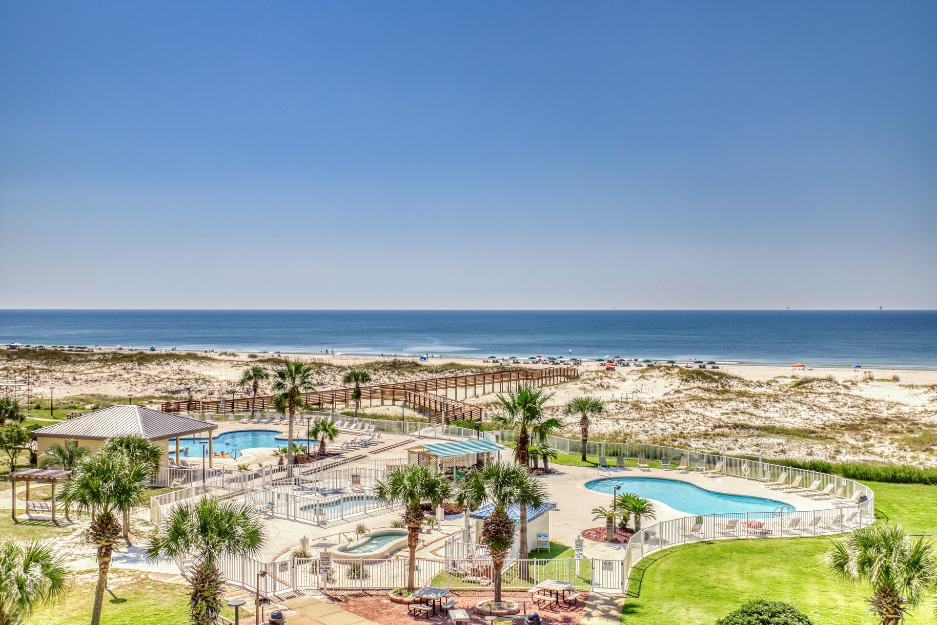 Plantation Palms 6511 8