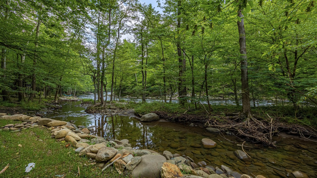 River and wooded area