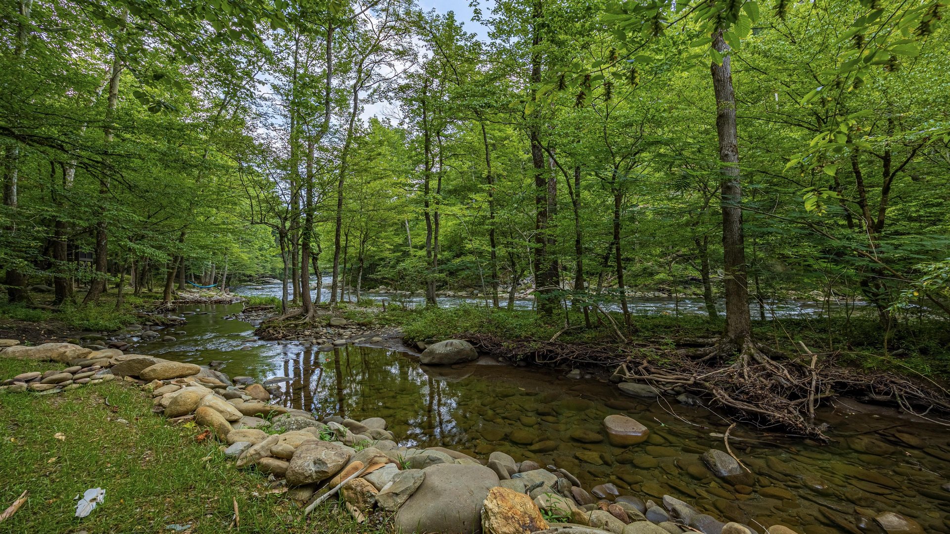 River and wooded area