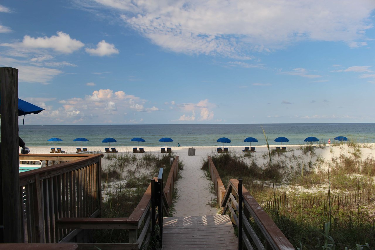 Whispering Seas 305B 4