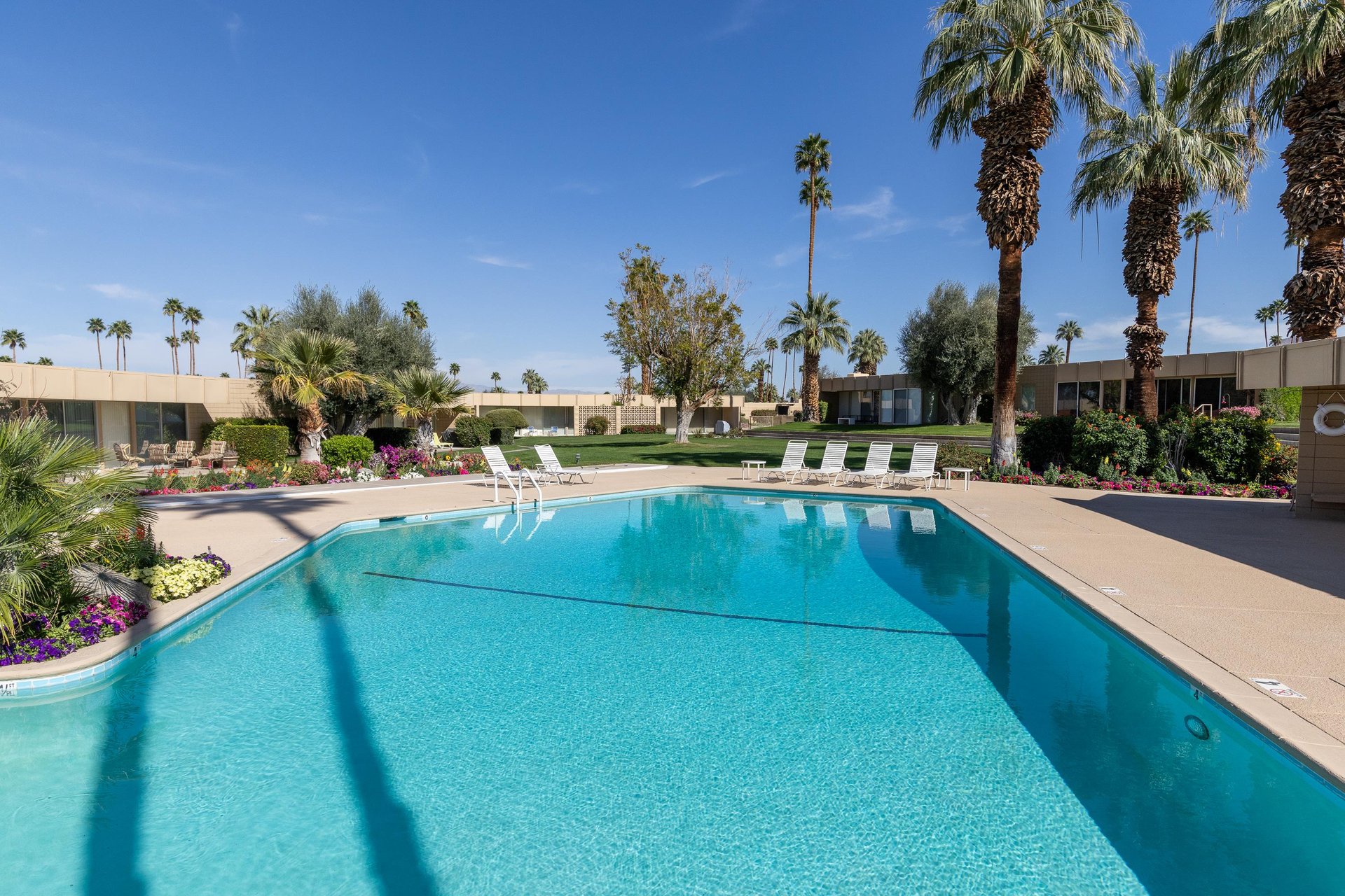 Gorgeous views from the Pool