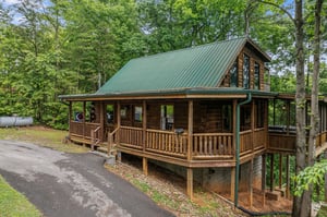 Front of Moonlit Pines