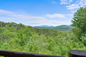 View from Entry Level Deck