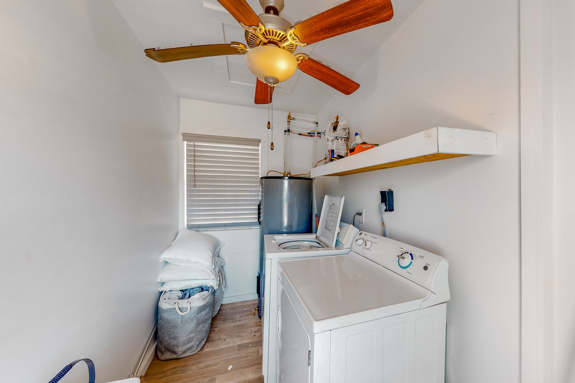 Oleander Elegance 25