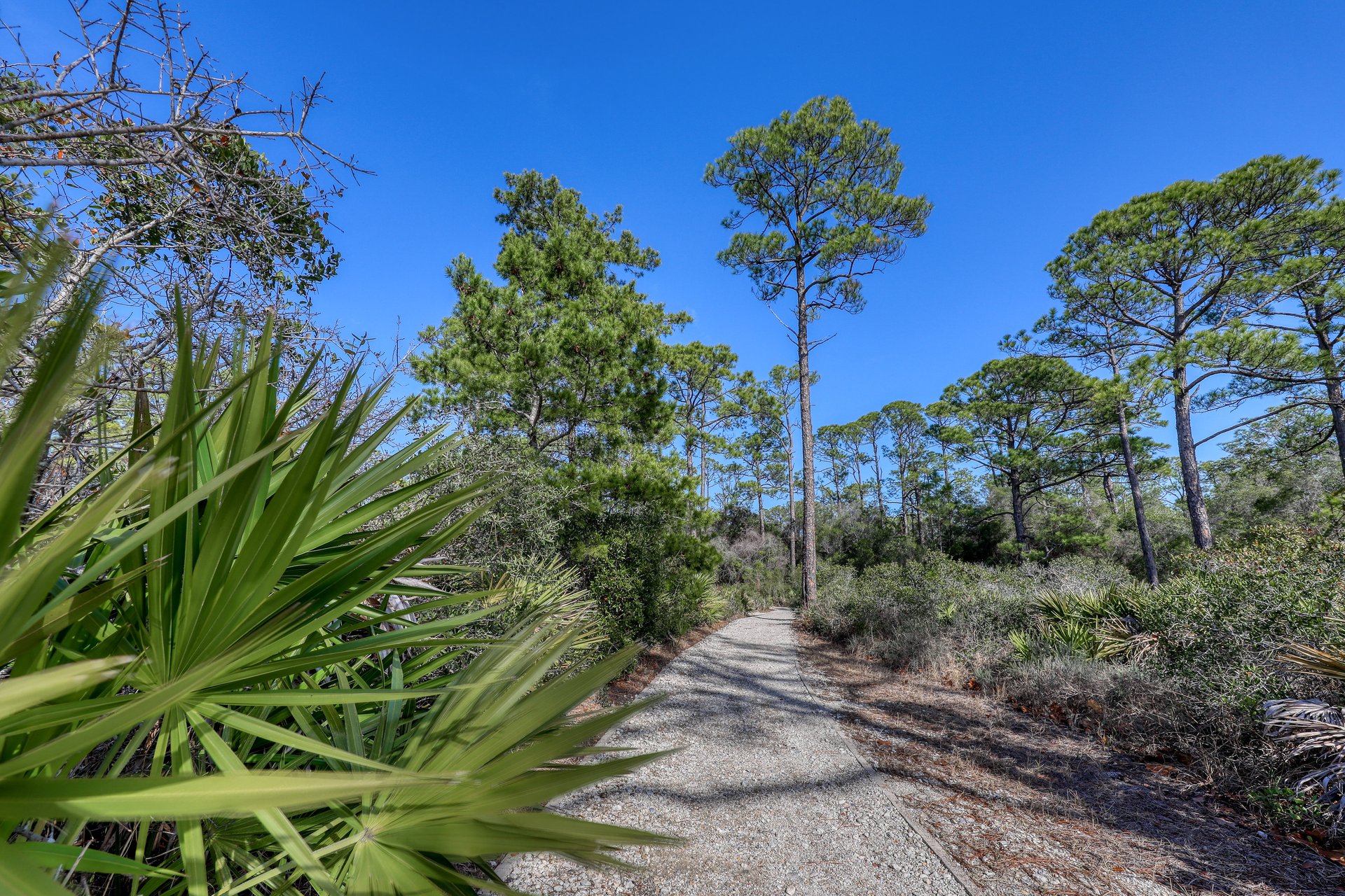 Sanctuary by the Sea 1110 52