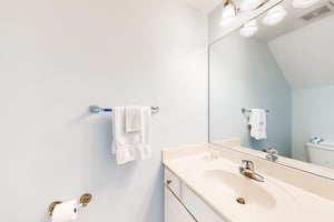 5083950.jpg