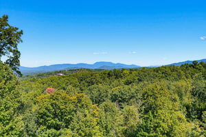Mountains rise beyond a lush expanse of forest, offering a scenic backdrop to the surrounding area and a peaceful natural setting for the property.