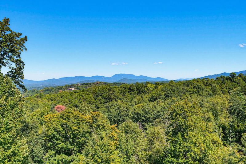 Mountains rise beyond a lush expanse of forest, offering a scenic backdrop to the surrounding area and a peaceful natural setting for the property.