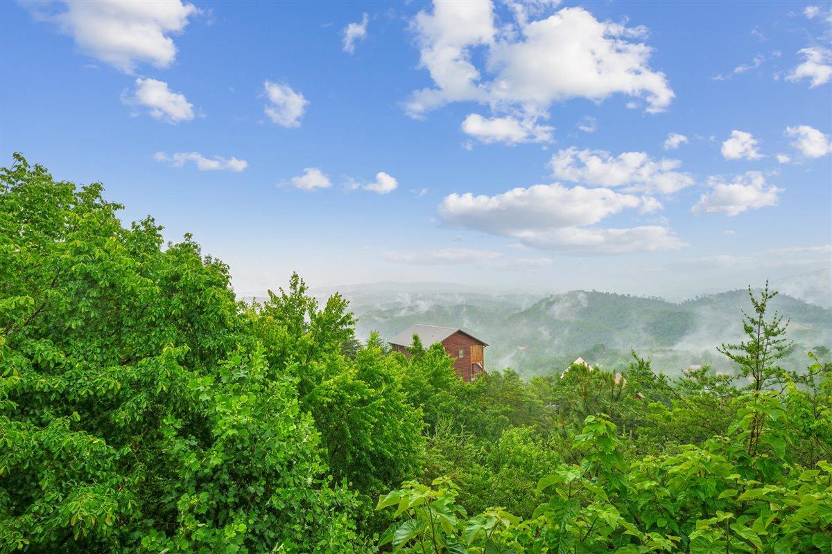 066View