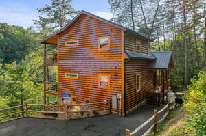 blackbearoasis1