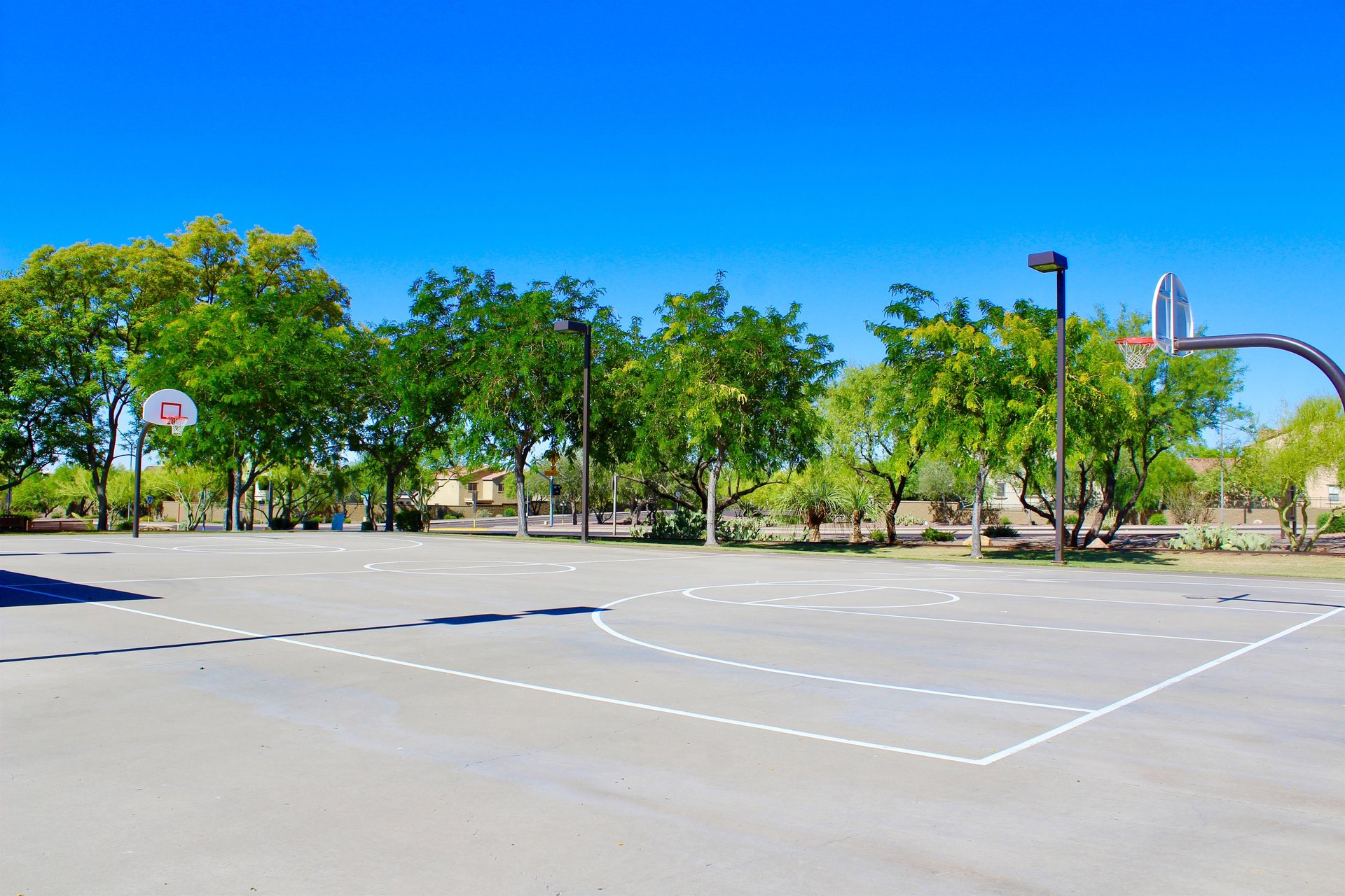 Tons of basketball courts