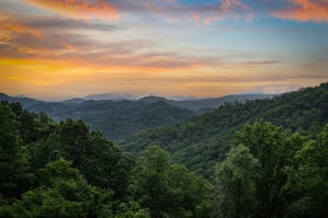 View from Black Bears  Biscuits Lodge