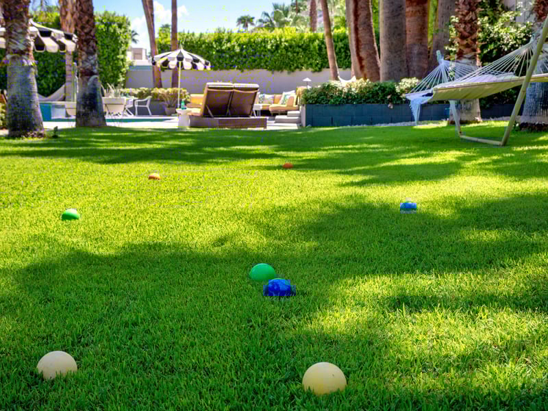 Play bocce ball with friends