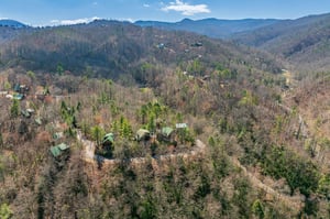 aerial shot
