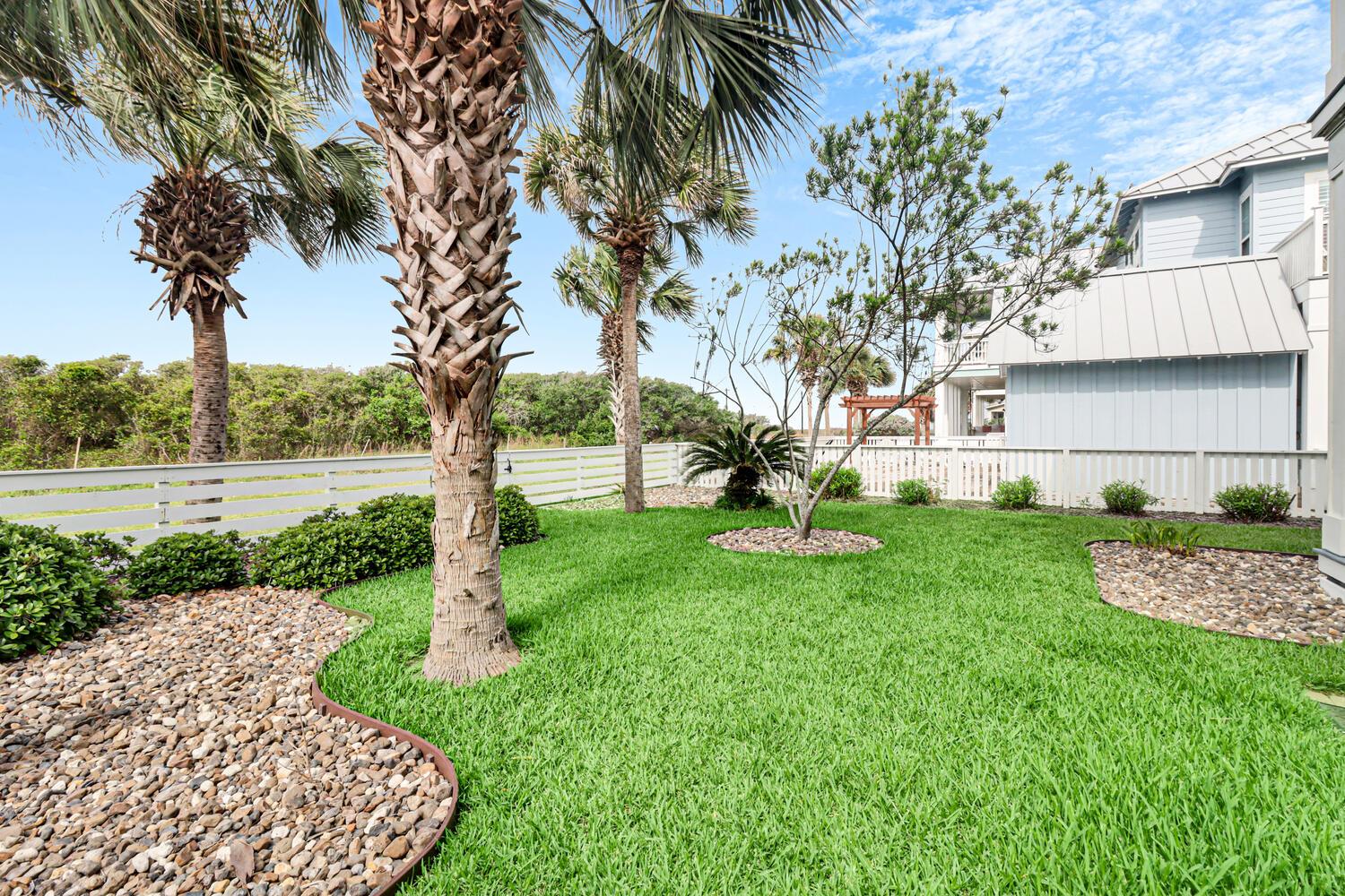 Fenced in Back Yard for Dogs