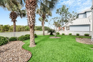 Fenced in Back Yard for Dogs