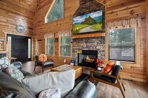 TV, fireplace and natural lighting
