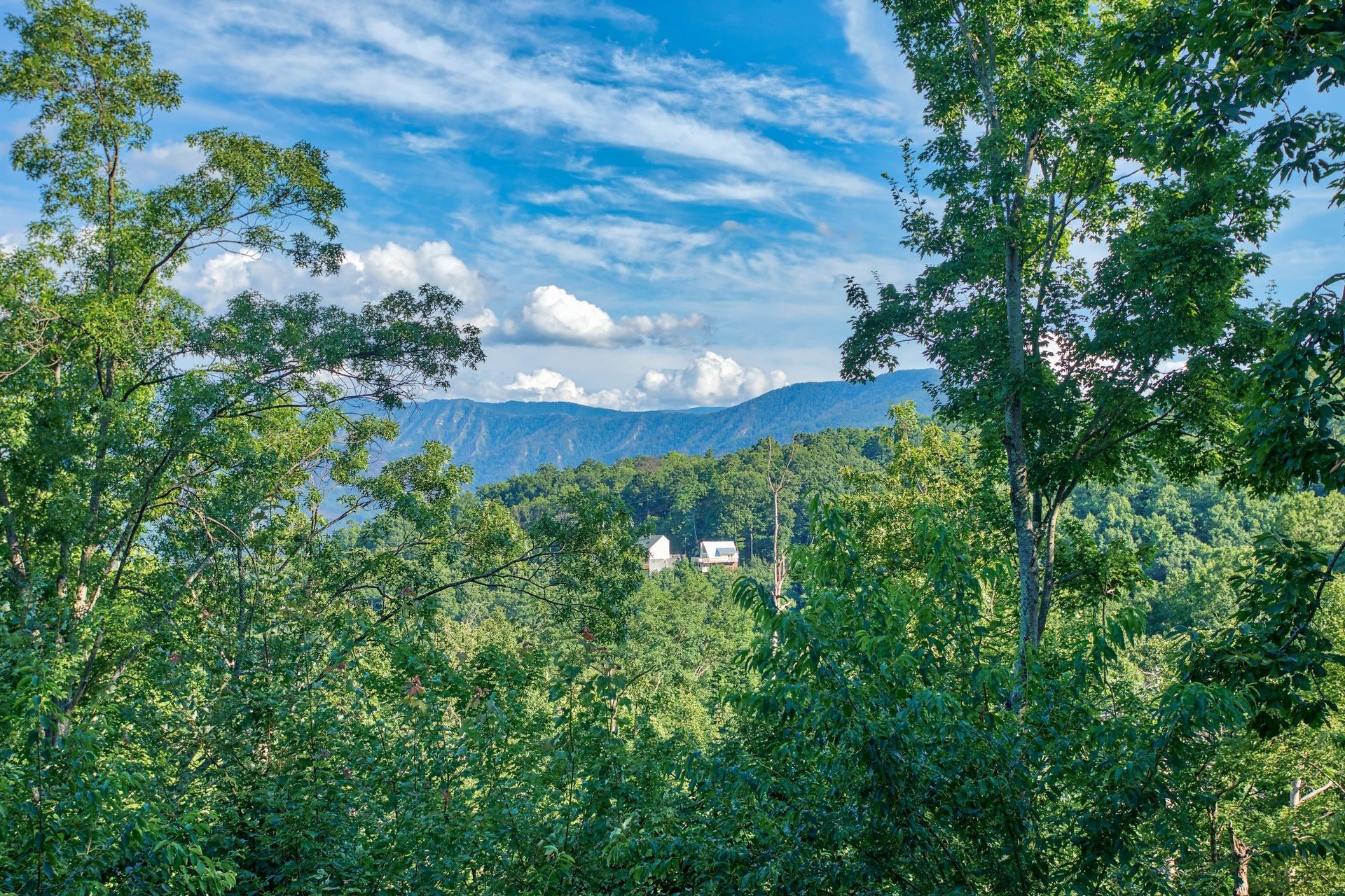 Mountain view framed by trees at Bushwood Lodge, a 3bedroom cabin rental located in Gatlinburg