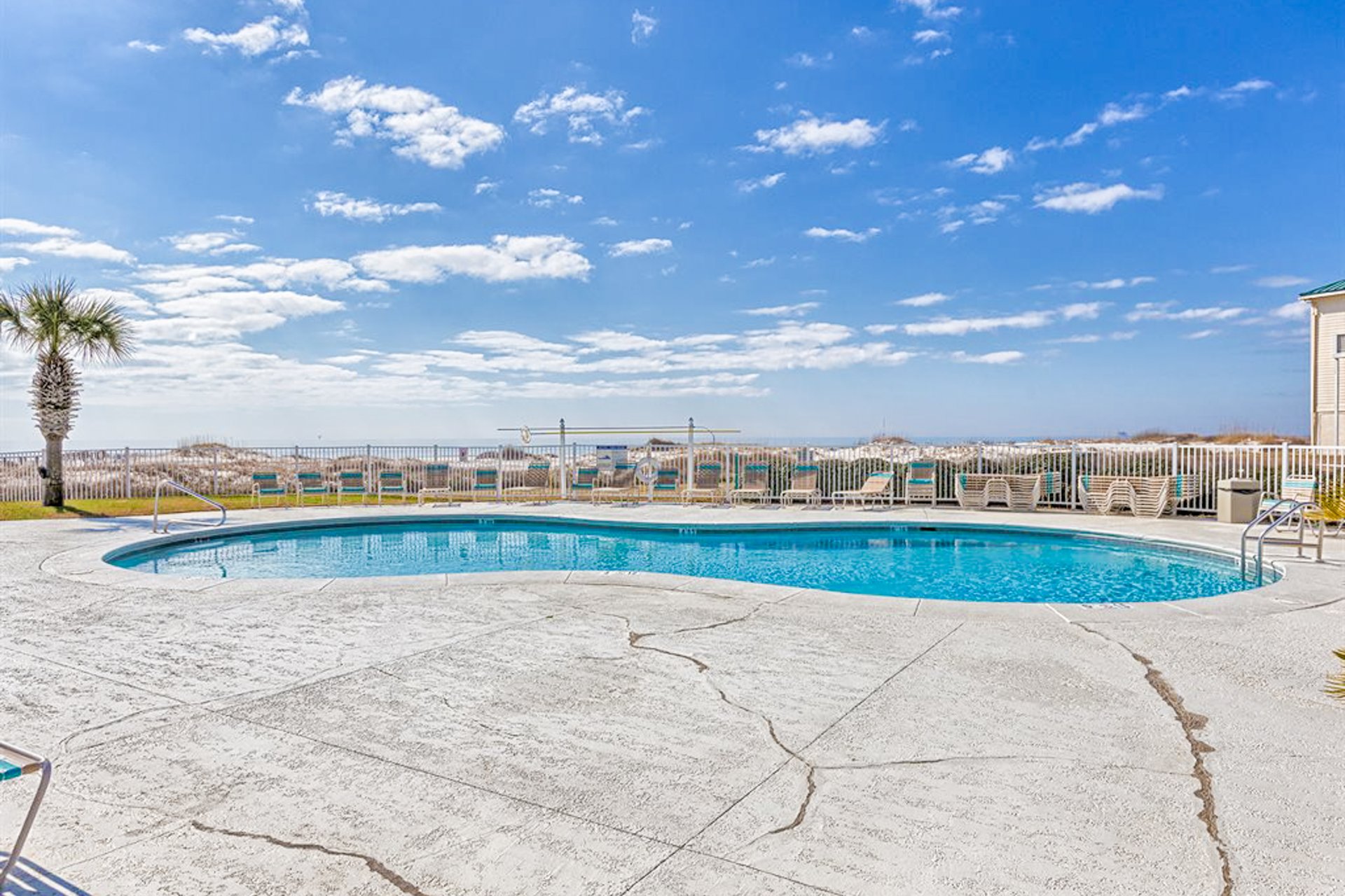 Plantation Palms 6302 30