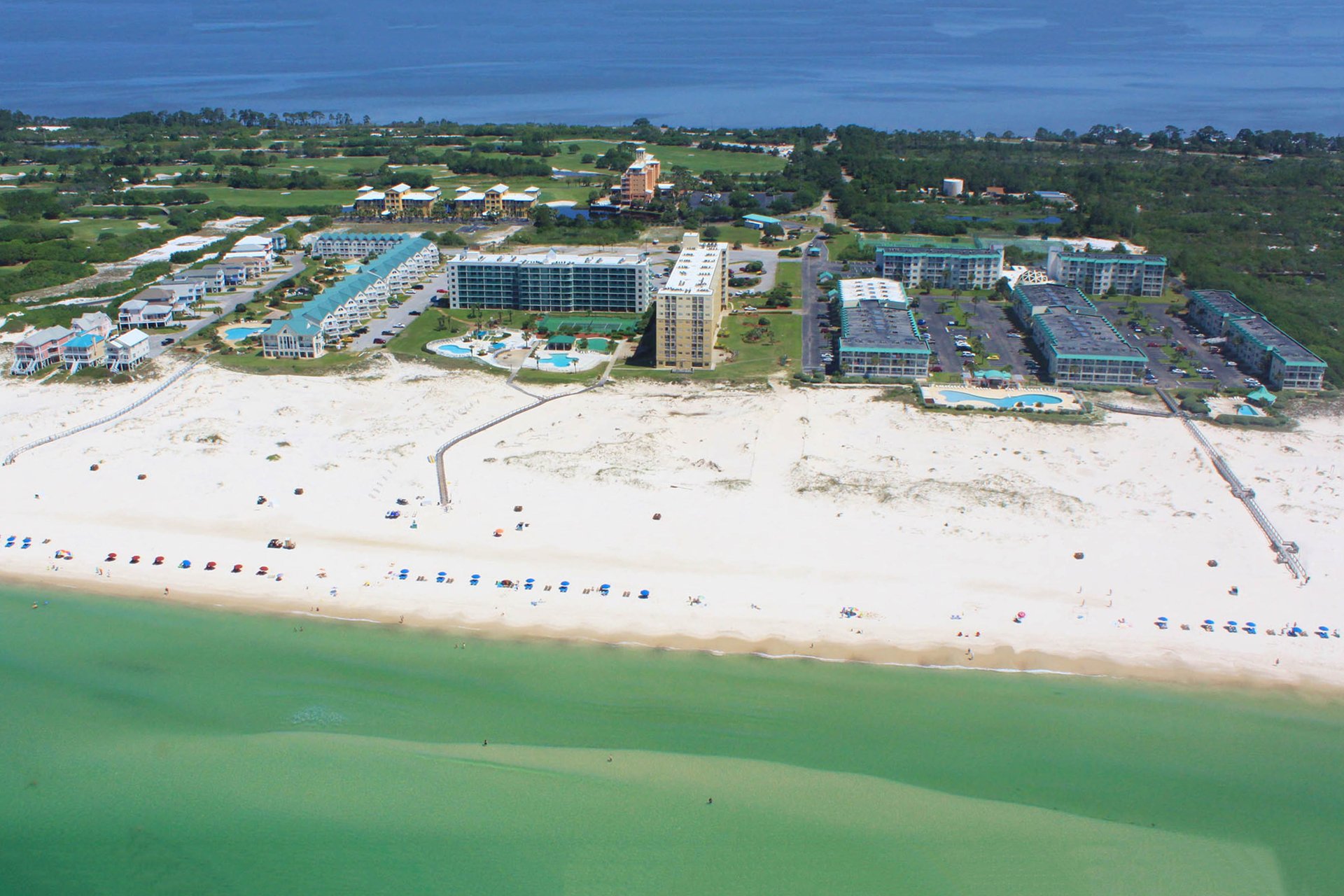 Plantation Palms 6511 36