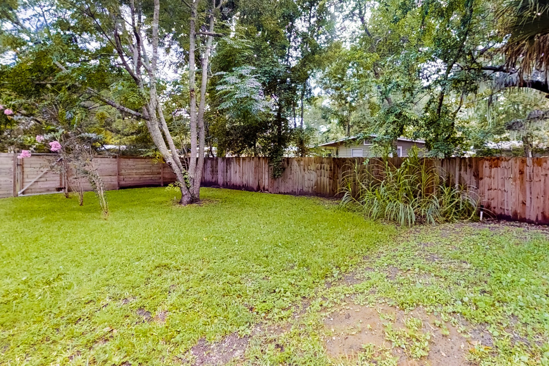 Cape Avenue Escape 27